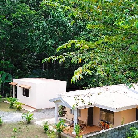 كيبوس Alma Del Bosque Vacation Home And Apartments المظهر الخارجي الصورة