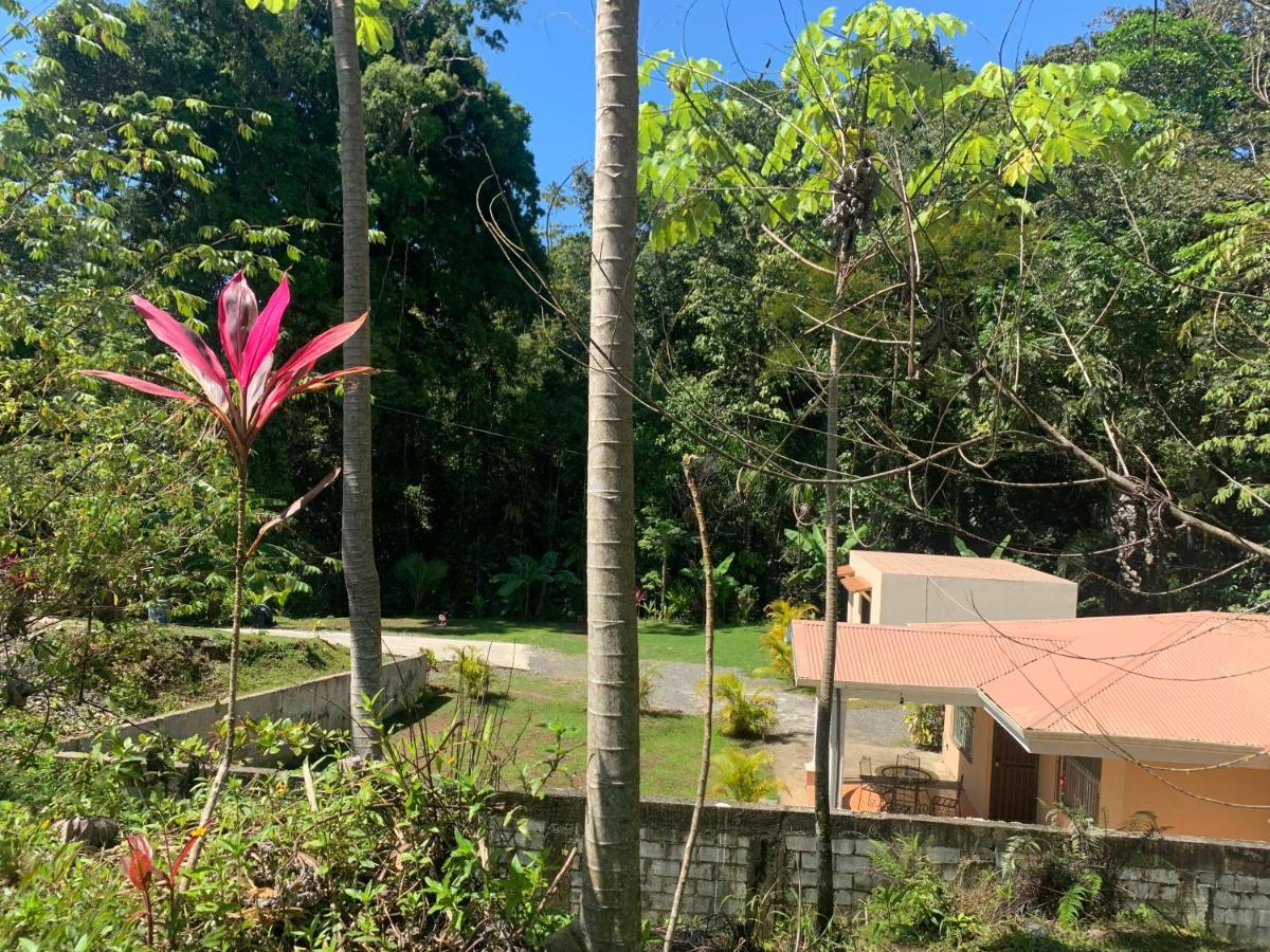 كيبوس Alma Del Bosque Vacation Home And Apartments المظهر الخارجي الصورة